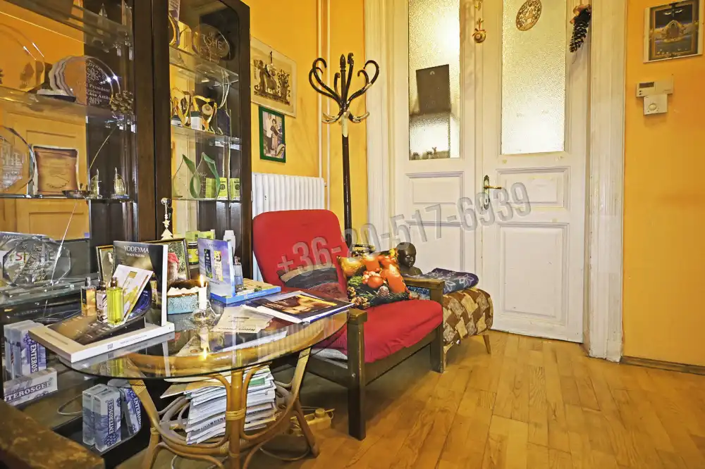 Budapest, VIII. kerület - Népszínház negyed